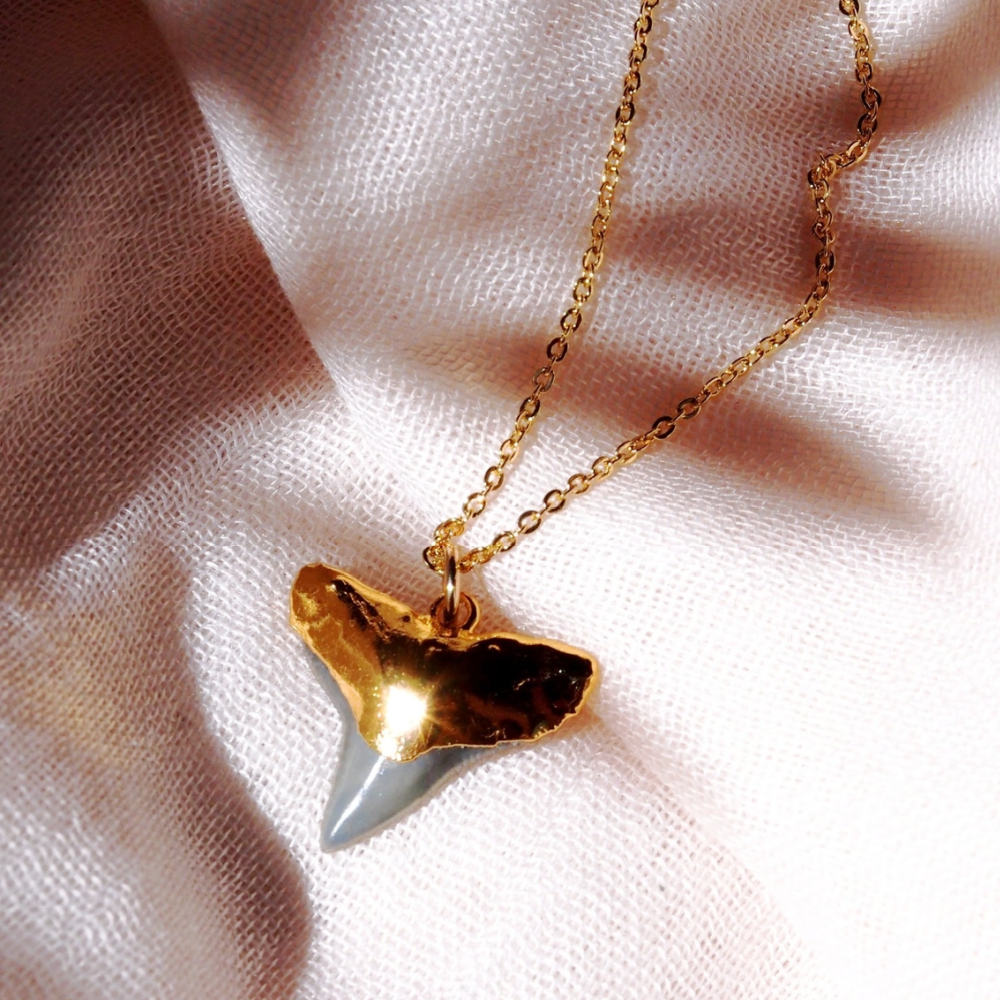 gold-dipped-shark-tooth-necklace
