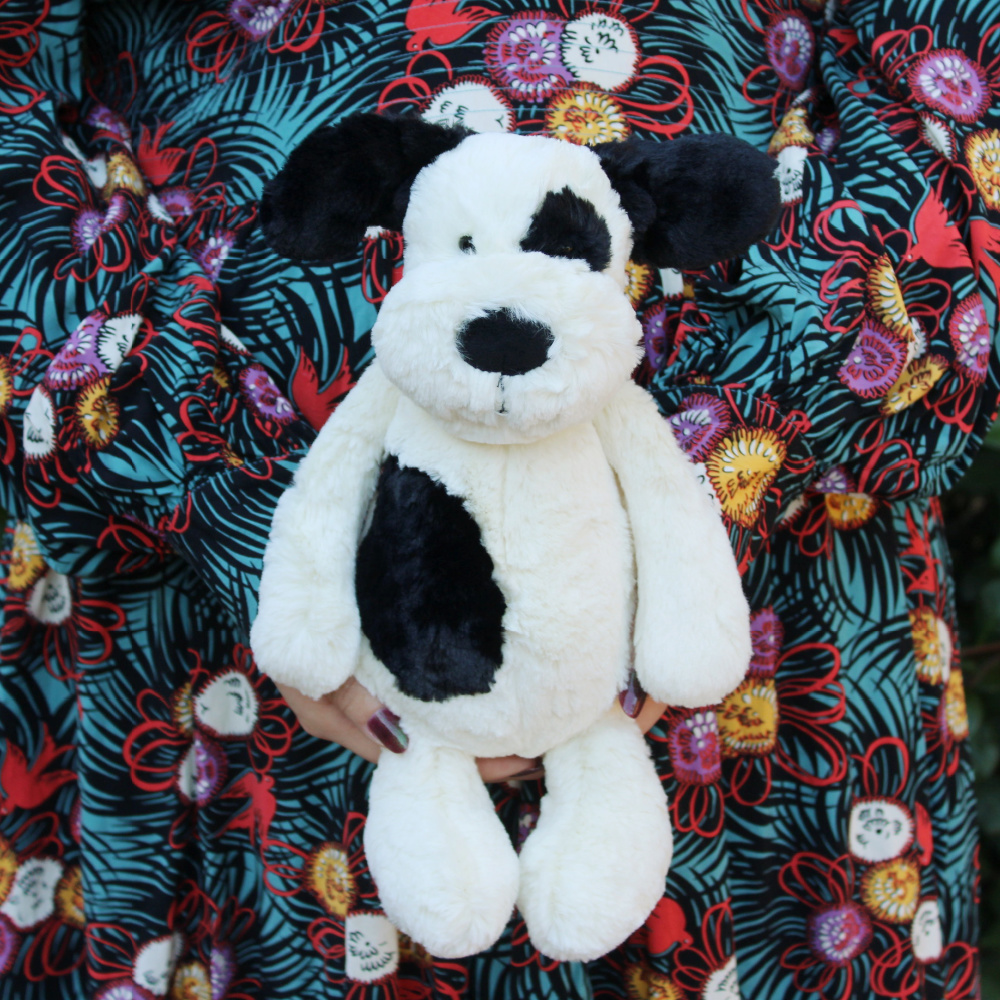 bashful-black-cream-puppy