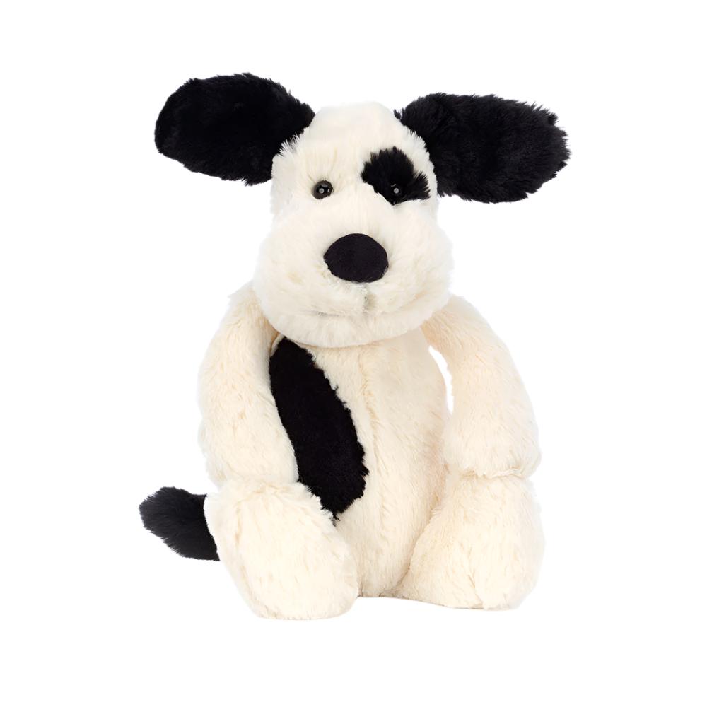 bashful-black-cream-puppy