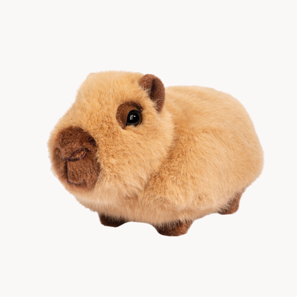 chattie-the-mini-capybara