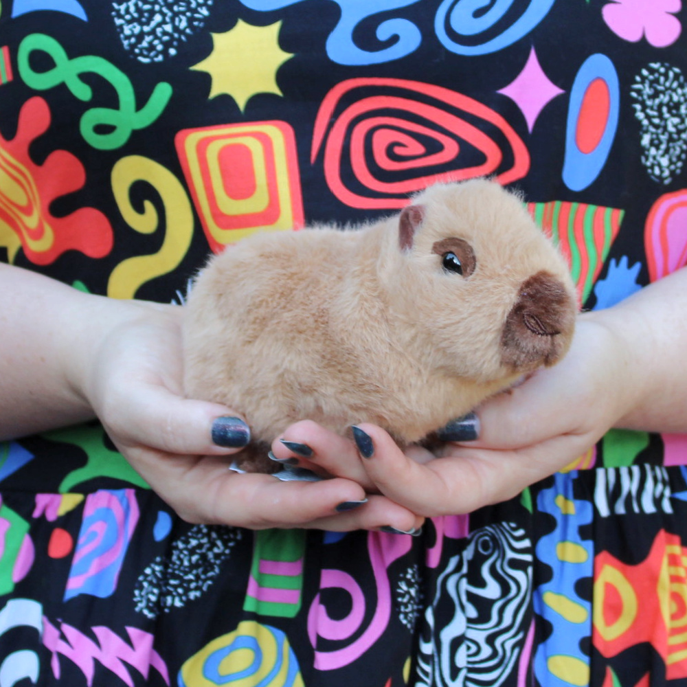 chattie-the-mini-capybara