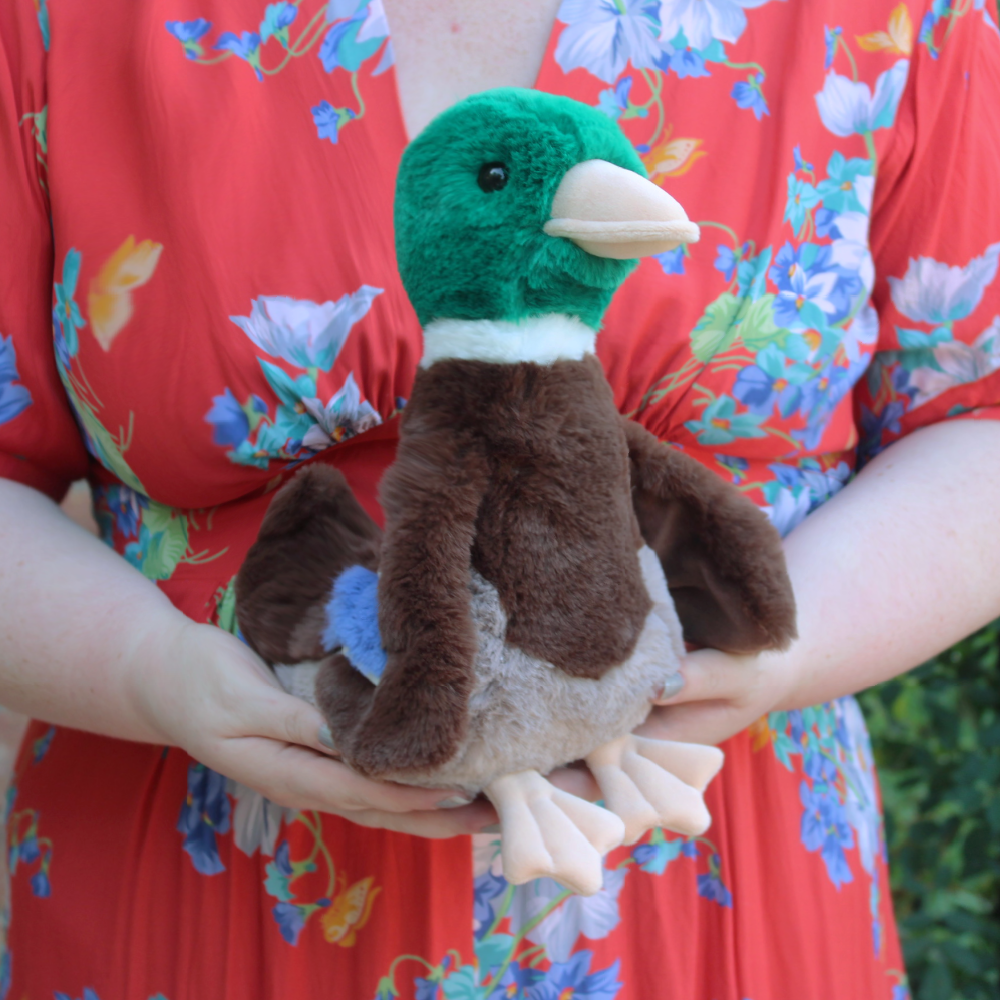 desie-the-mallard-duck