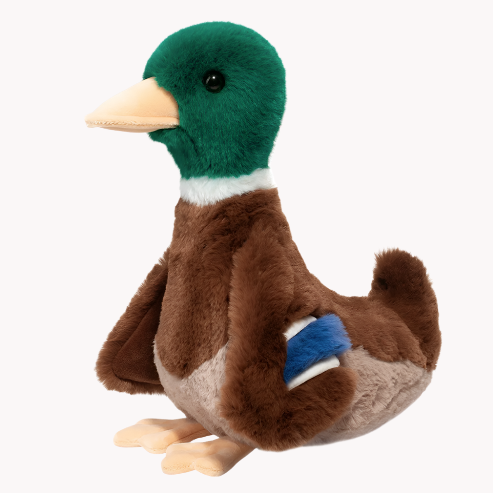 desie-the-mallard-duck