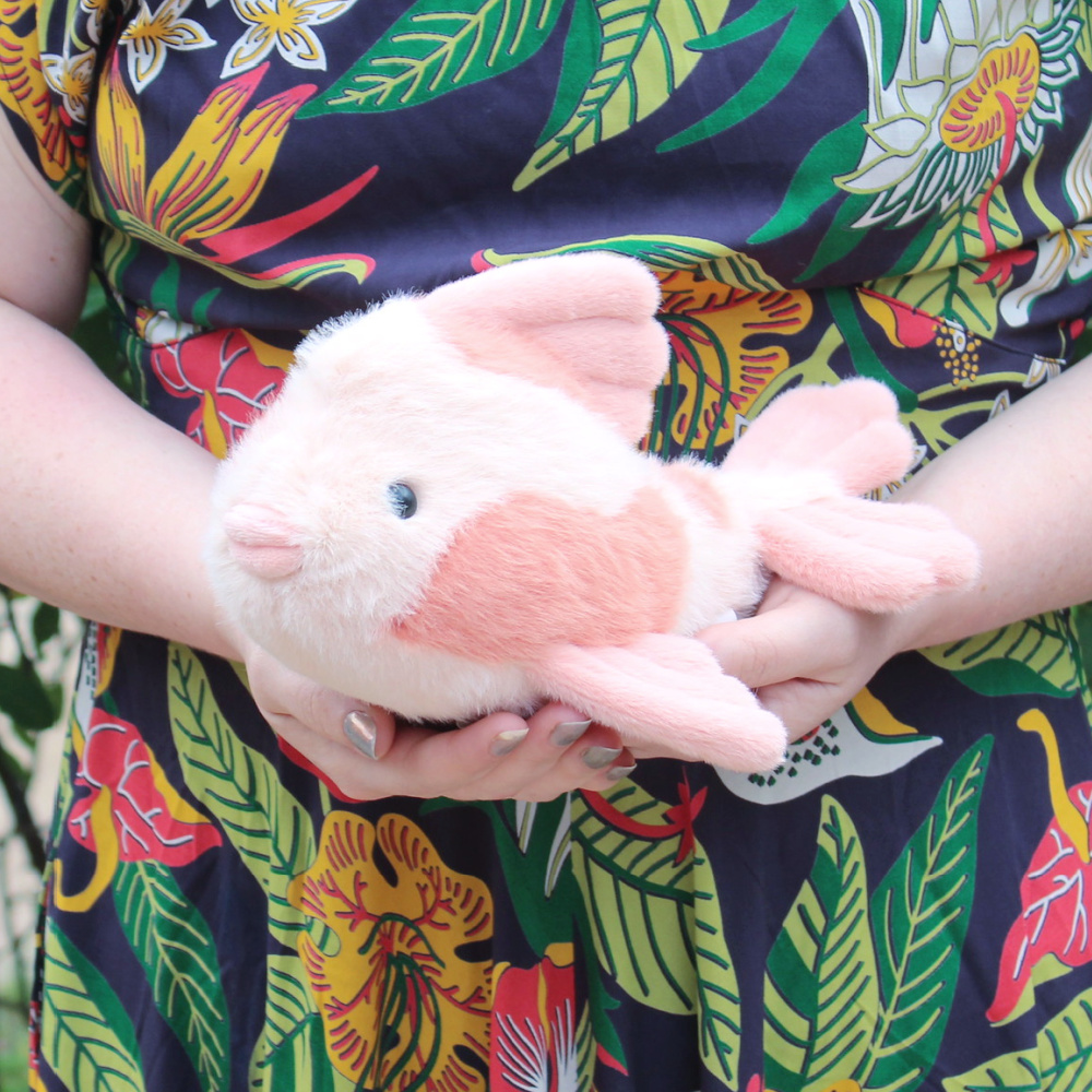 Fancy Carp – Coco and Duckie