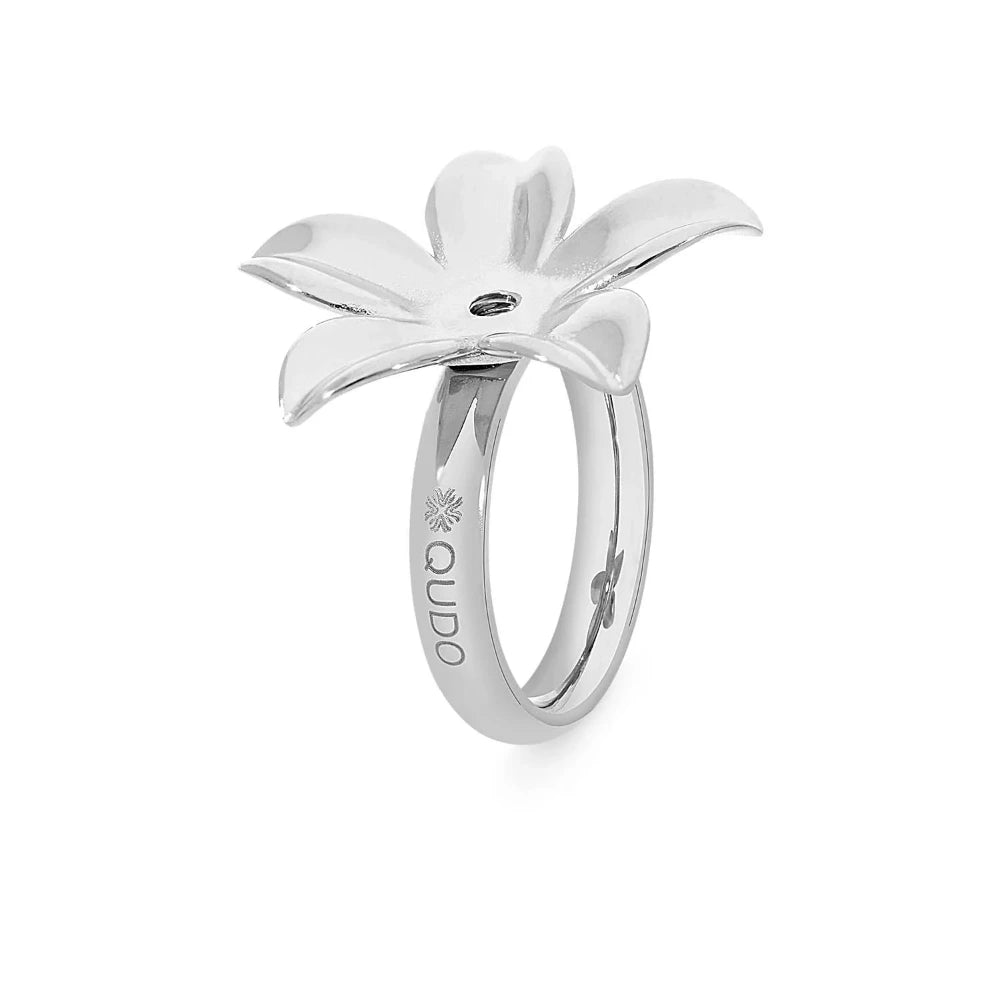 Qudo Interchangeable Silver Pescia Ring – Coco and Duckie