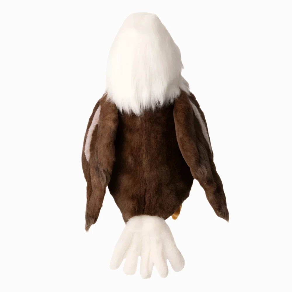 scout-the-bald-eagle