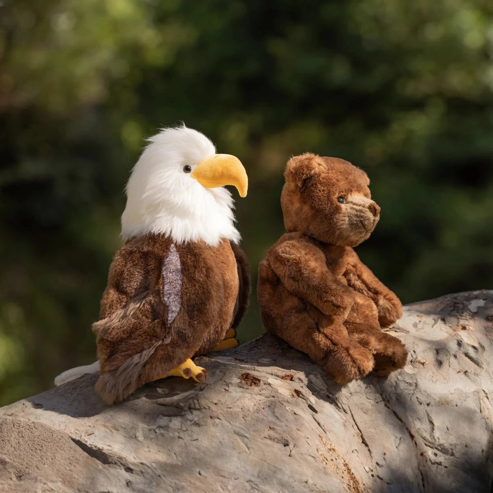 scout-the-bald-eagle