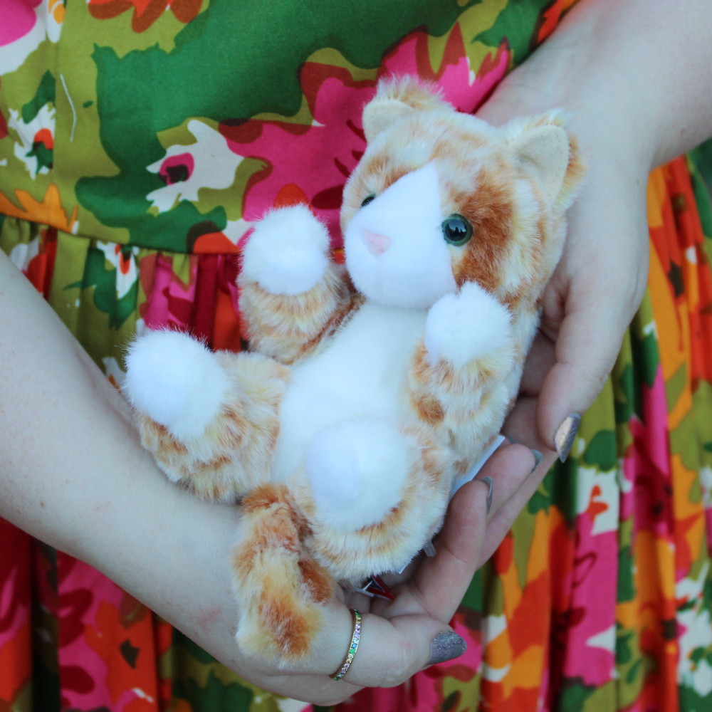 striped-orange-kitten-lil-baby