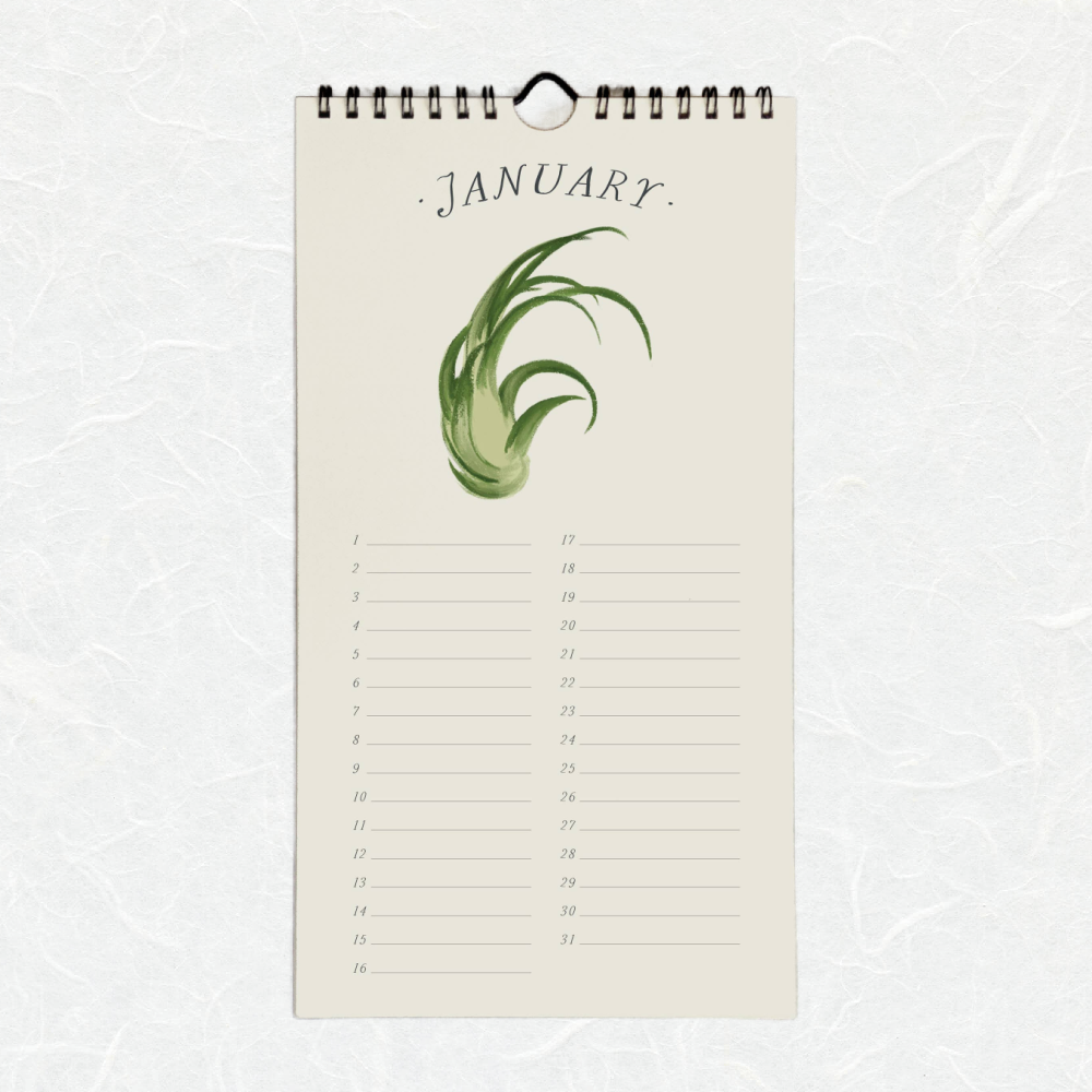 tillandsia-celebration-and-birthday-calendar