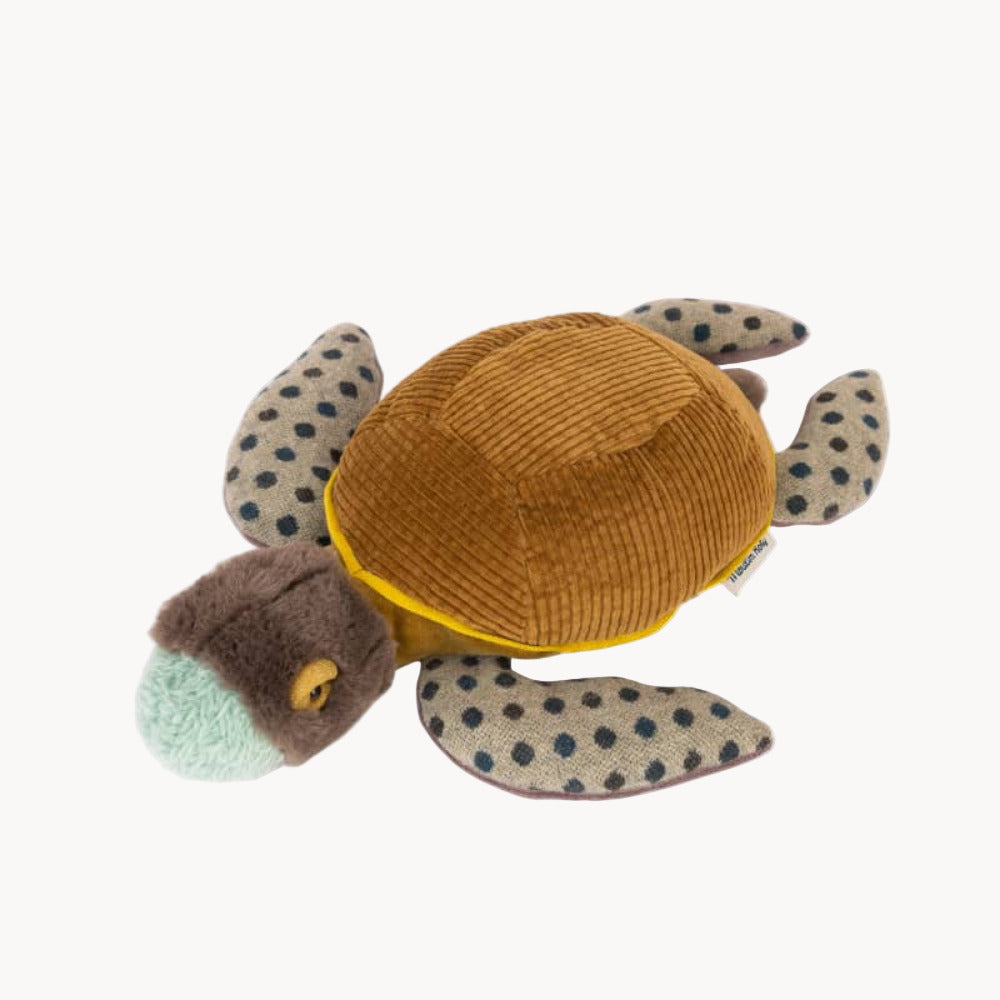 timothee-turtle