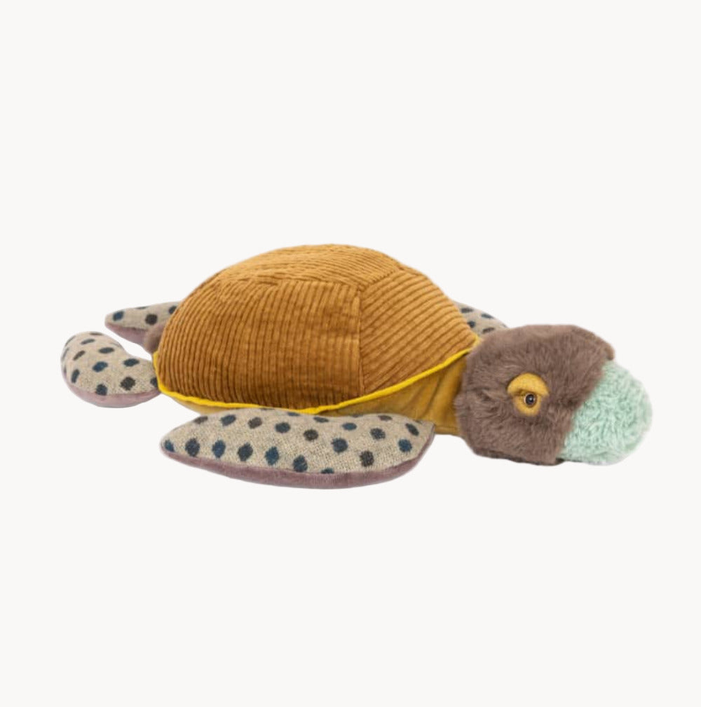 timothee-turtle