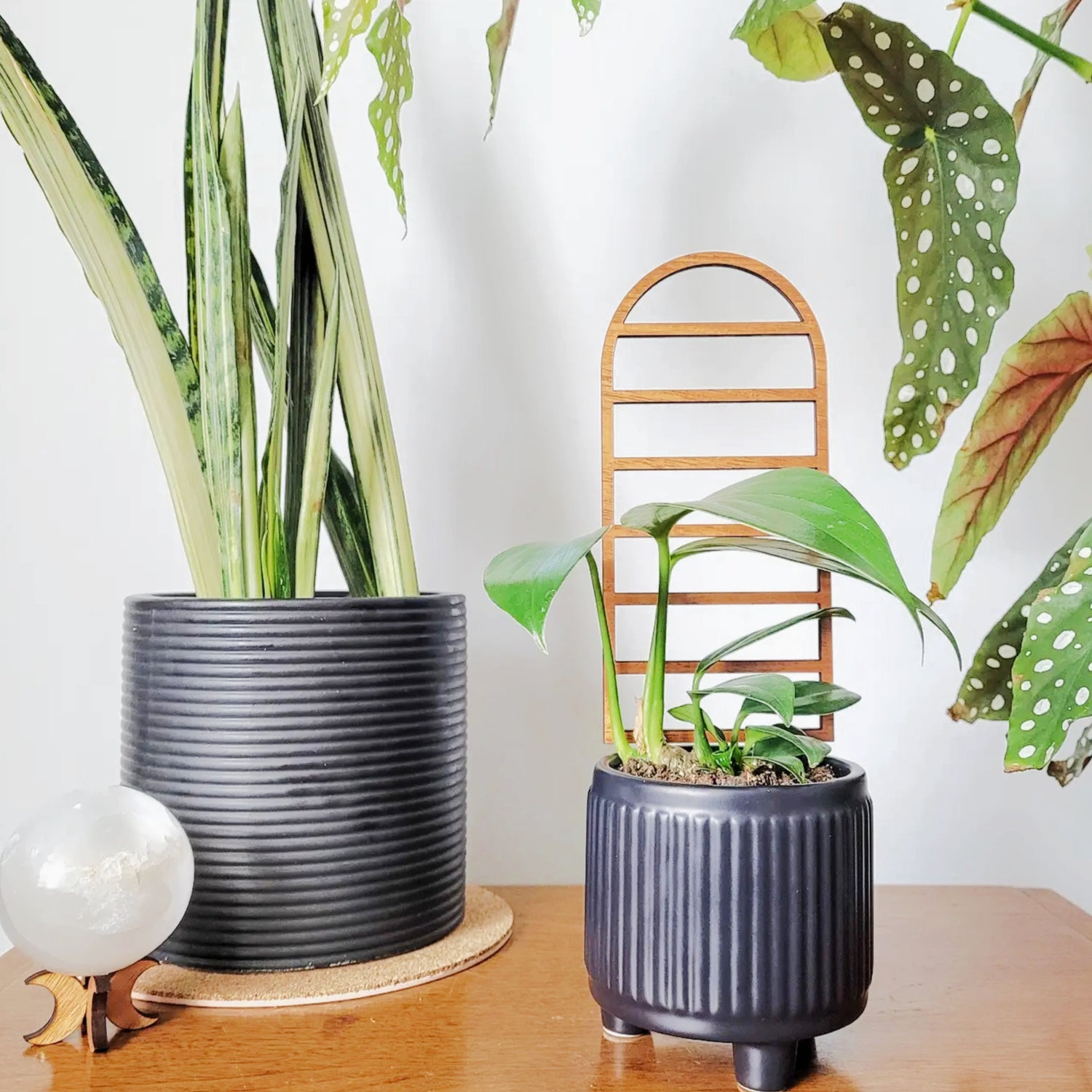 tall indoor plant trellis Large Arch Plant Trellis