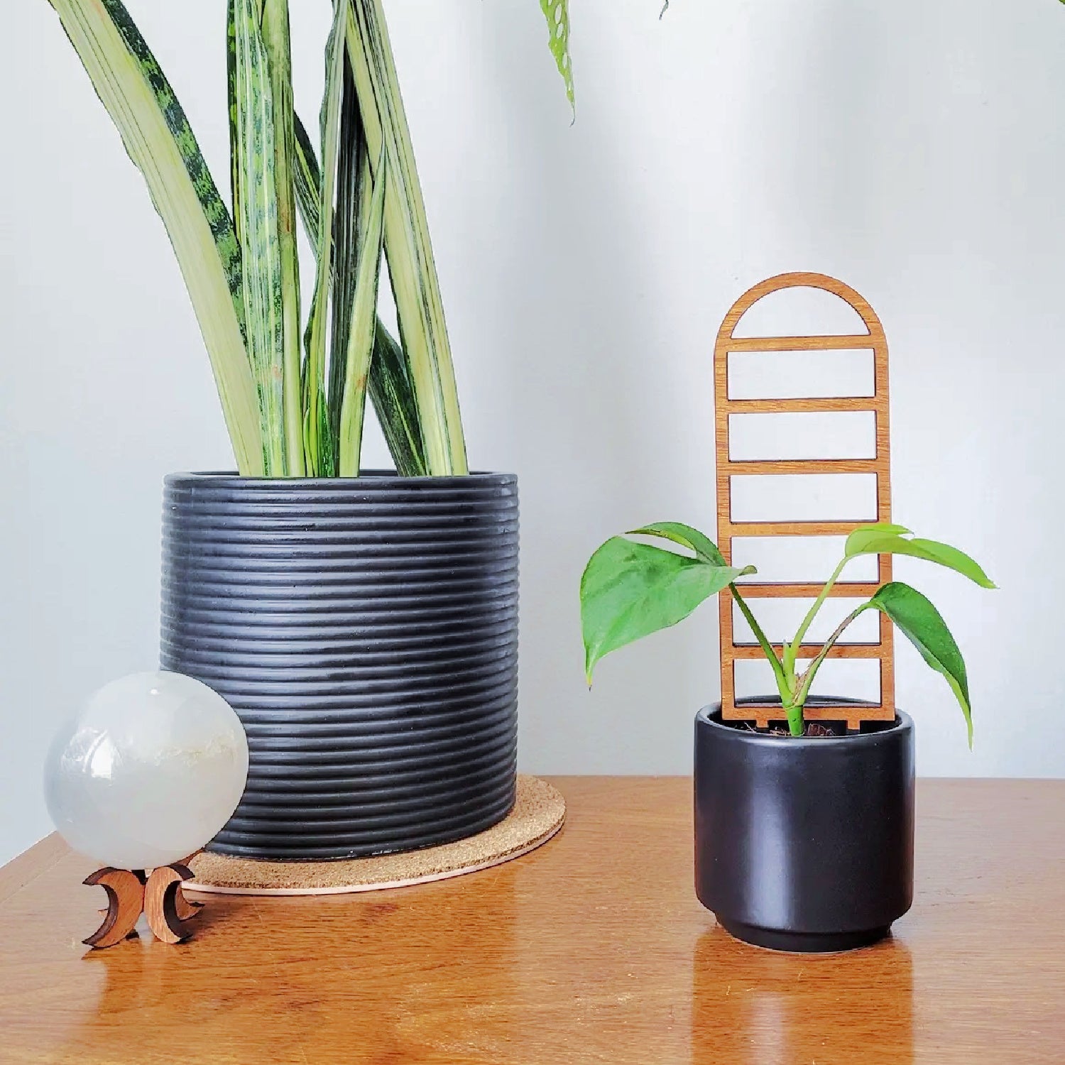 indoor plant arch Small Arch Plant Trellis – Coco and Duckie