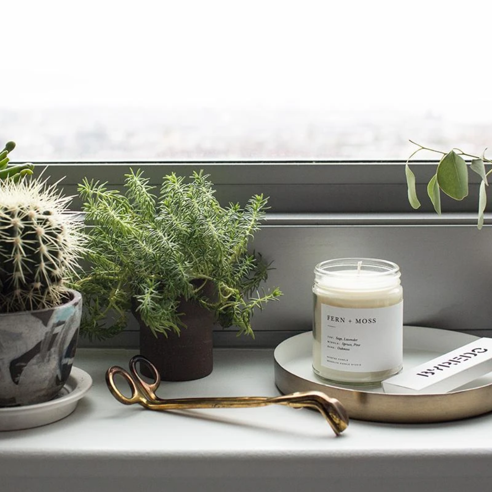 Minimalist Glass Candle | Fern + Moss - Coco and Duckie 