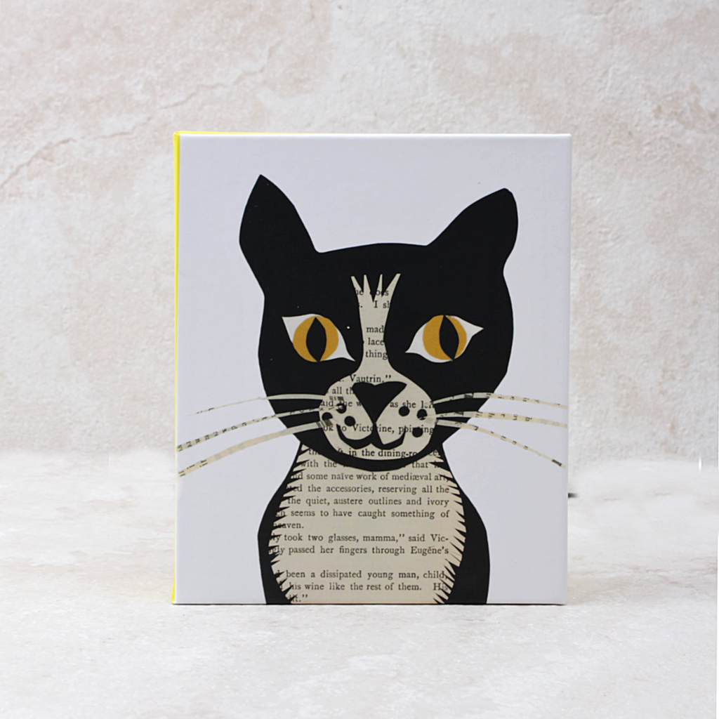 Paste Cats Boxed Cards - Teneues Publishing - Coco and Duckie 